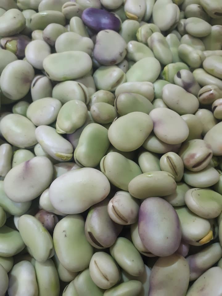 فول